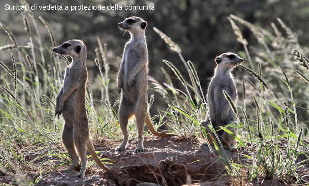 Referendum: la lezione delle urne